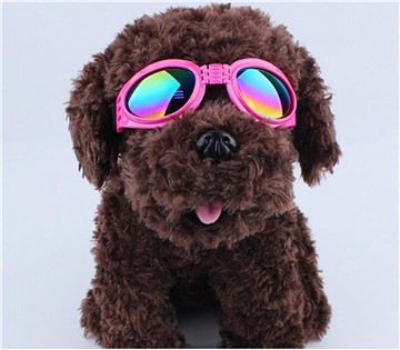 Pet Glasses, Pet Goggles, Pet Eyewear